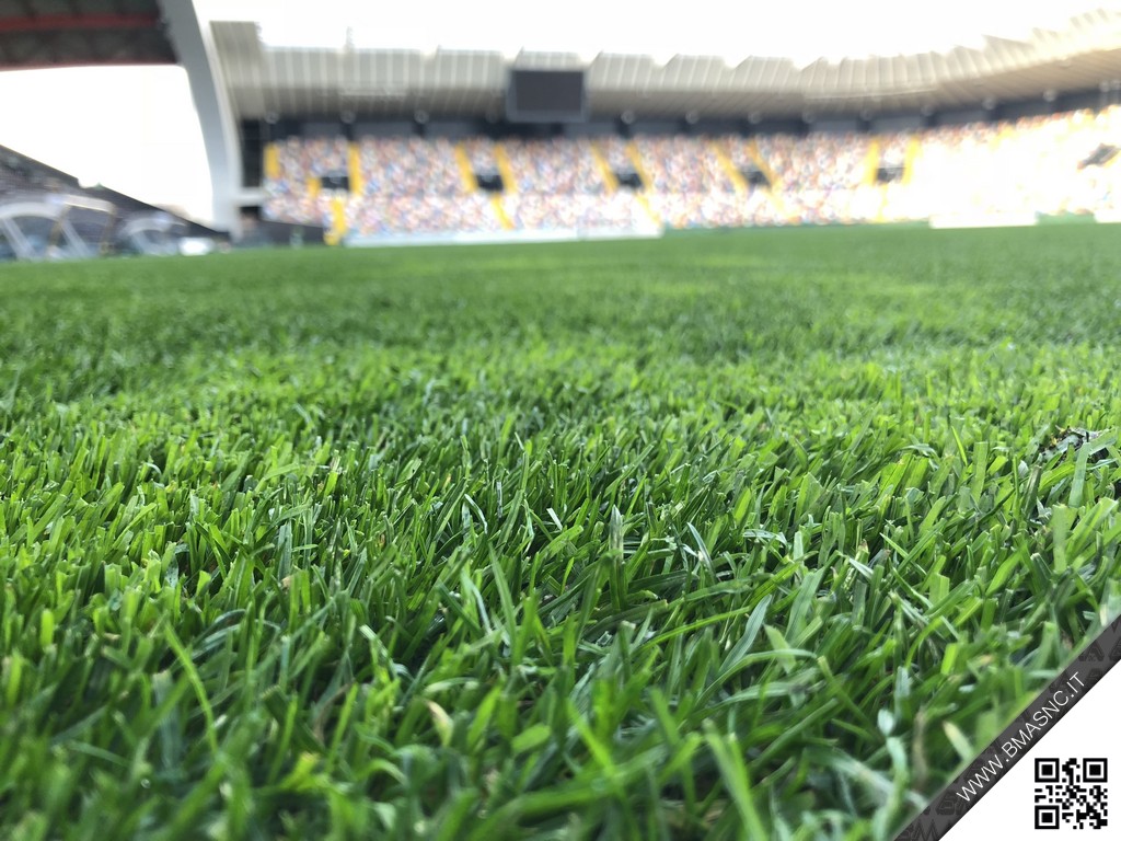 STADIO_FRIULI_TAGLIO_ELICOIDALE_MARZO_2018_02.JPG